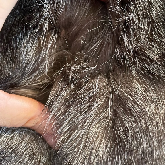 Used Sliver real fox stole used . L-XL. With free Fendi scarf or bag of - Picture 9 of 16